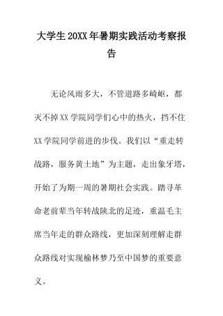 大学生2025年暑期实践活动考察报告--精编范文