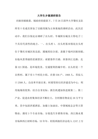 大学生乡镇调研报告