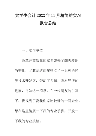 大学生会计2025年11月精简的实习报告总结--精编范文