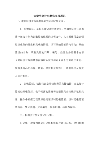 大学生会计电算化实习周记