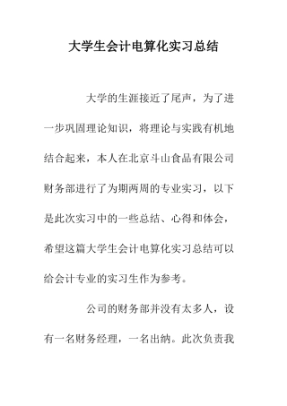 大学生会计电算化实习总结--精编范文