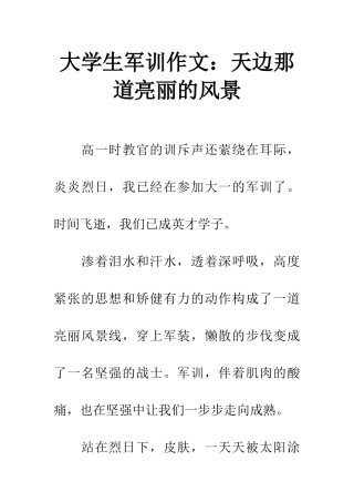 大学生军训作文天边那道亮丽的风景