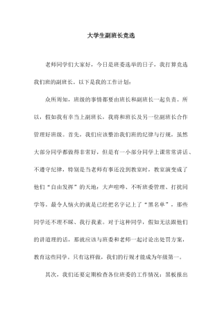大学生副班长竞选