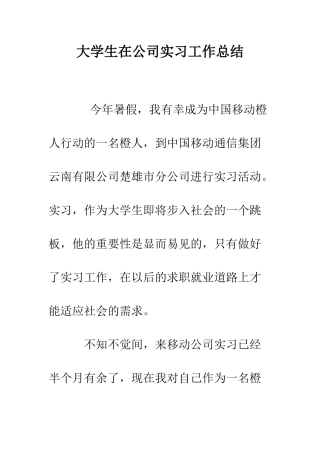 大学生在公司实习工作总结--精编范文