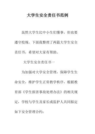 大学生安全责任书范例--精编范文