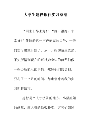 大学生建设银行实习总结--精编范文