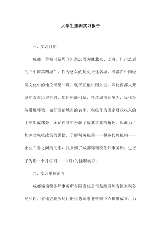 大学生挂职实习报告