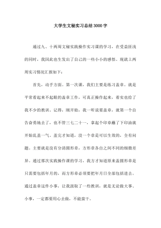 大学生文秘实习总结3000字