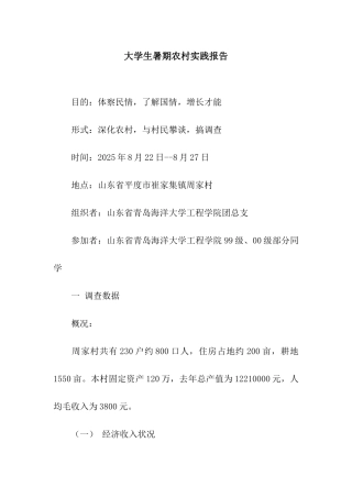 大学生暑期农村实践报告