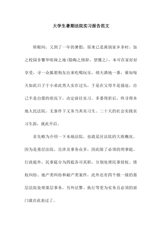 大学生暑期法院实习报告范文