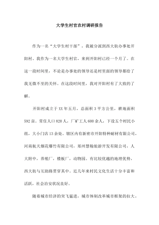 大学生村官农村调研报告