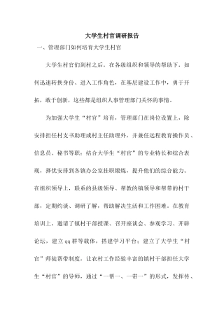 大学生村官调研报告