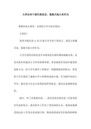 大学生村干部代表发言广阔天地大有作为