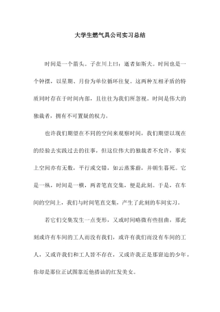 大学生燃气具公司实习总结