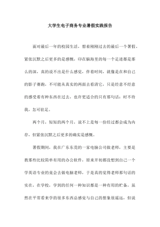大学生电子商务专业暑假实践报告
