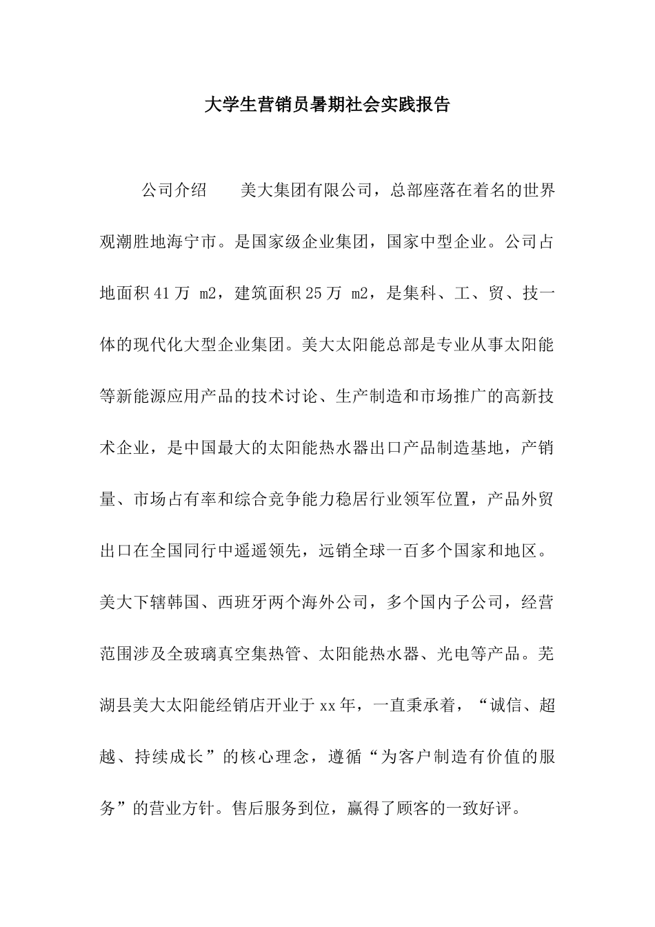 大学生营销员暑期社会实践报告_第1页