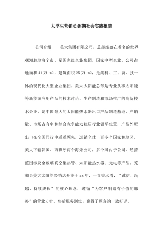 大学生营销员暑期社会实践报告