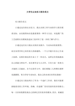 大学生认知实习报告范文