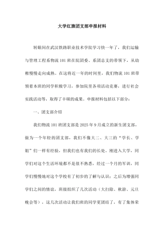 大学红旗团支部申报材料