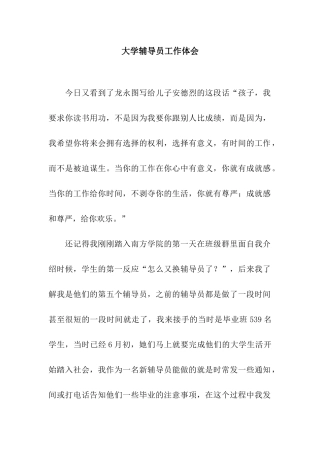 大学辅导员工作体会