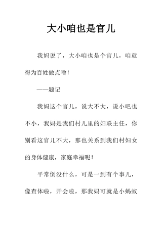 大小咱也是官儿