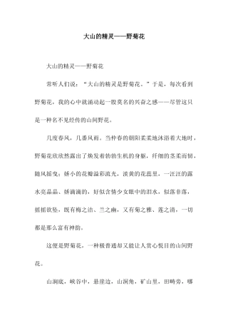 大山的精灵——野菊花-2