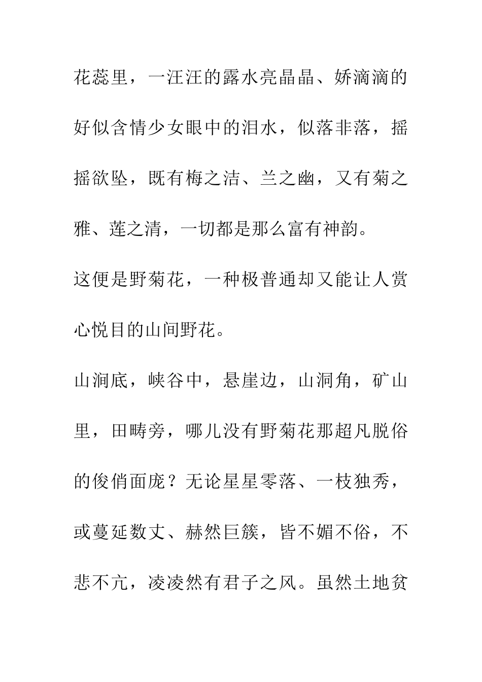 大山的精灵——野菊花_第2页