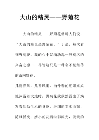 大山的精灵——野菊花