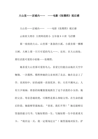 大山里……京城内……--——电影《张穆然》观后感-3