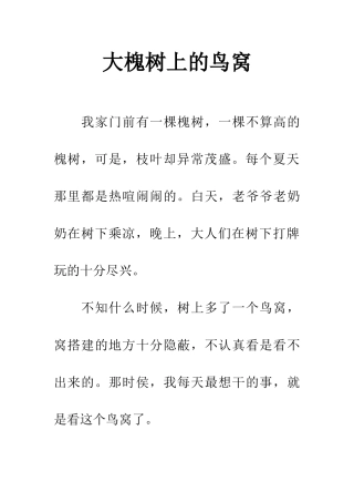 大槐树上的鸟窝