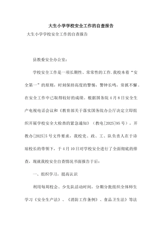 大生小学学校安全工作的自查报告