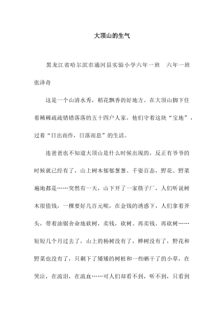 大顶山的愤怒
