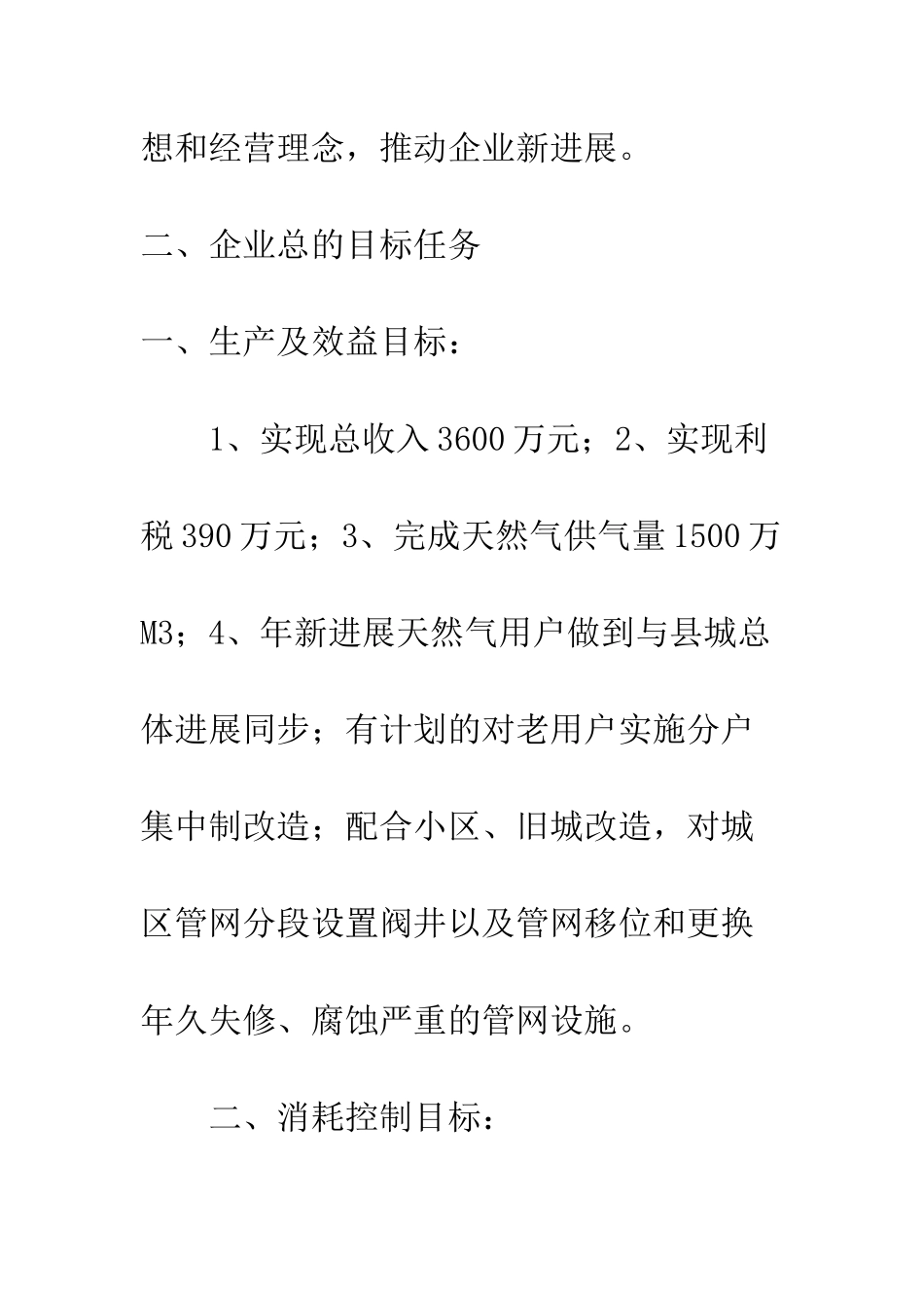 天然气公司度经营管理目标总则--精编范文_第3页
