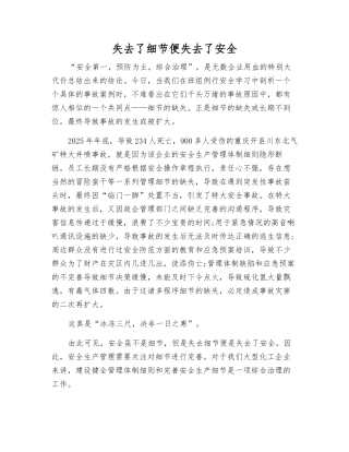 失去了细节便失去了安全