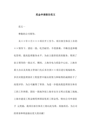 奖金申请报告范文