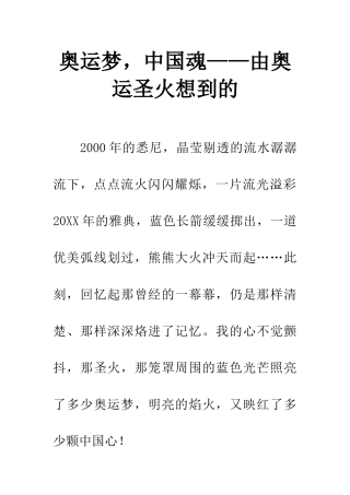 奥运梦-中国魂——由奥运圣火想到的