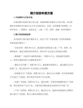 媒介投放年度方案