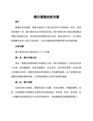 媒介景观分析方案