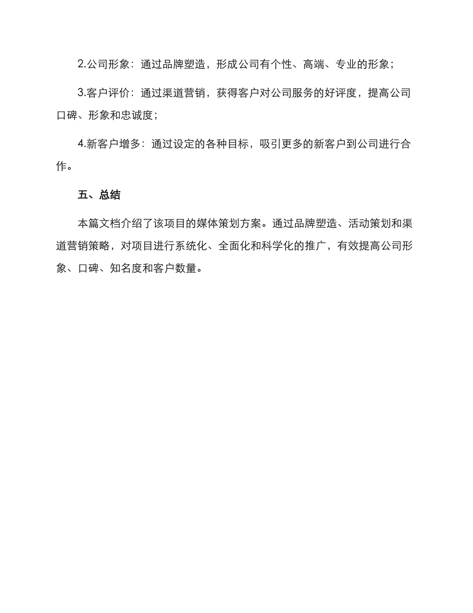 媒介策划方案_第3页