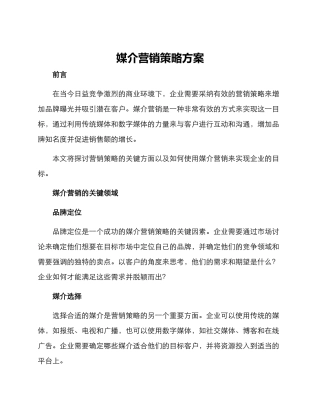 媒介营销策略方案