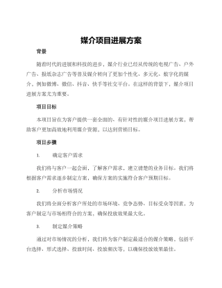 媒介项目进展方案