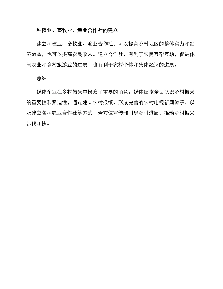 媒体乡村振兴方案_第3页