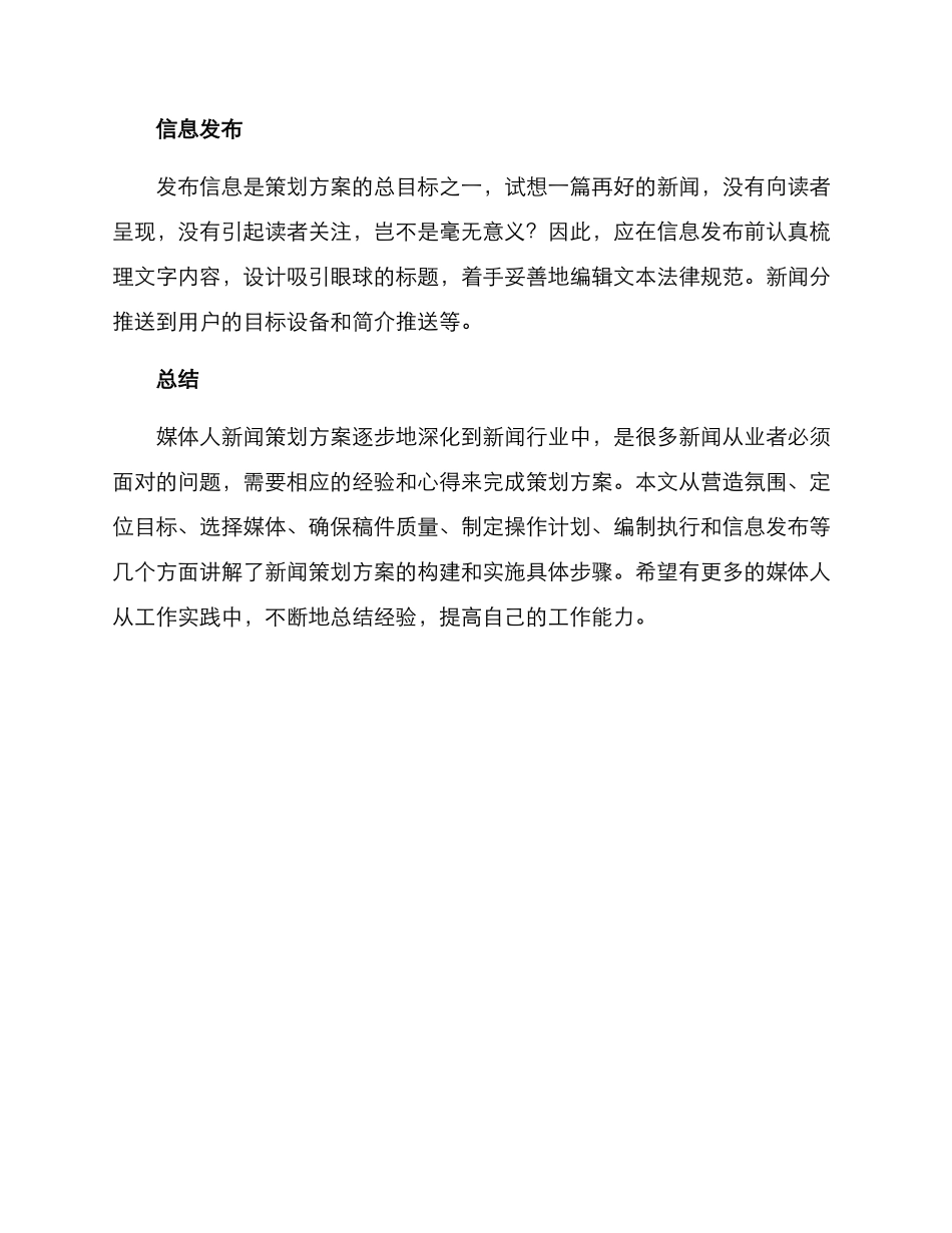 媒体人新闻策划方案_第3页