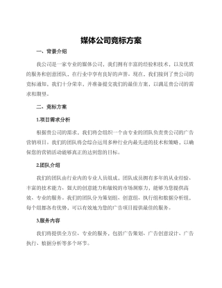 媒体公司竞标方案