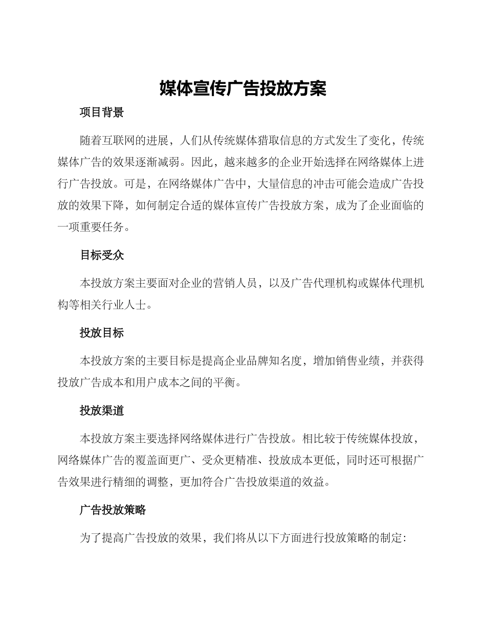媒体宣传广告投放方案_第1页