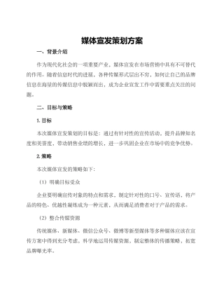 媒体宣发策划方案
