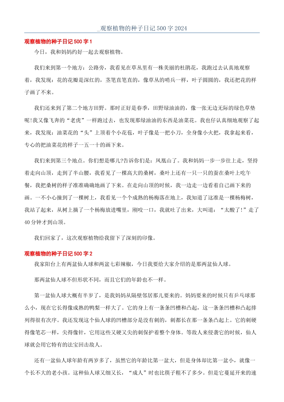 -观察植物的种子日记500字2024_第1页