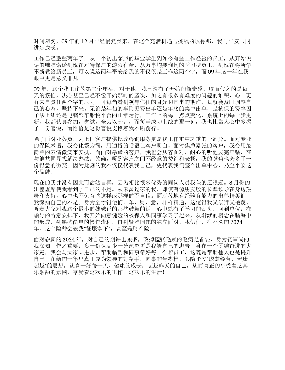 09年个人工作总结范例_第1页