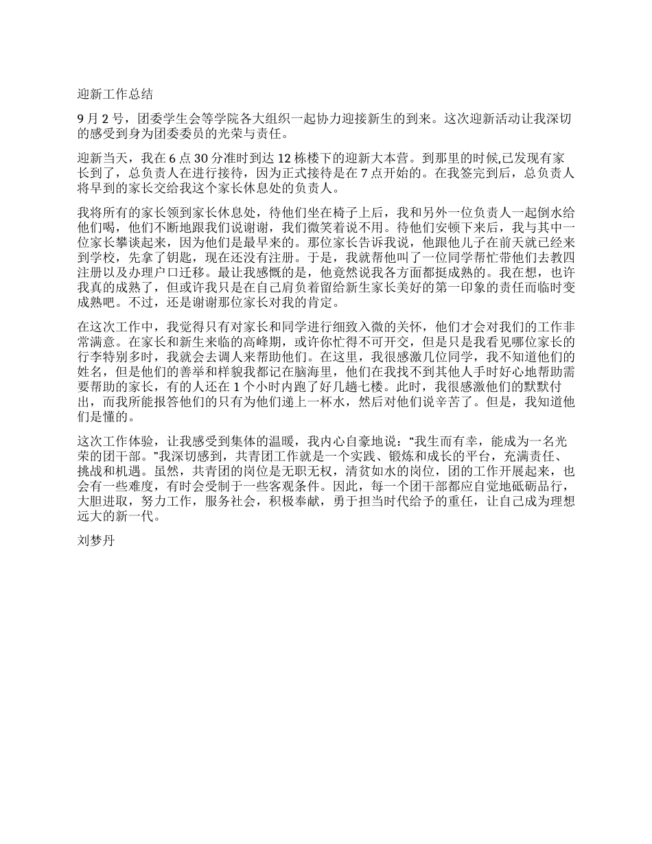 10年迎新工作总结--梦丹_第1页