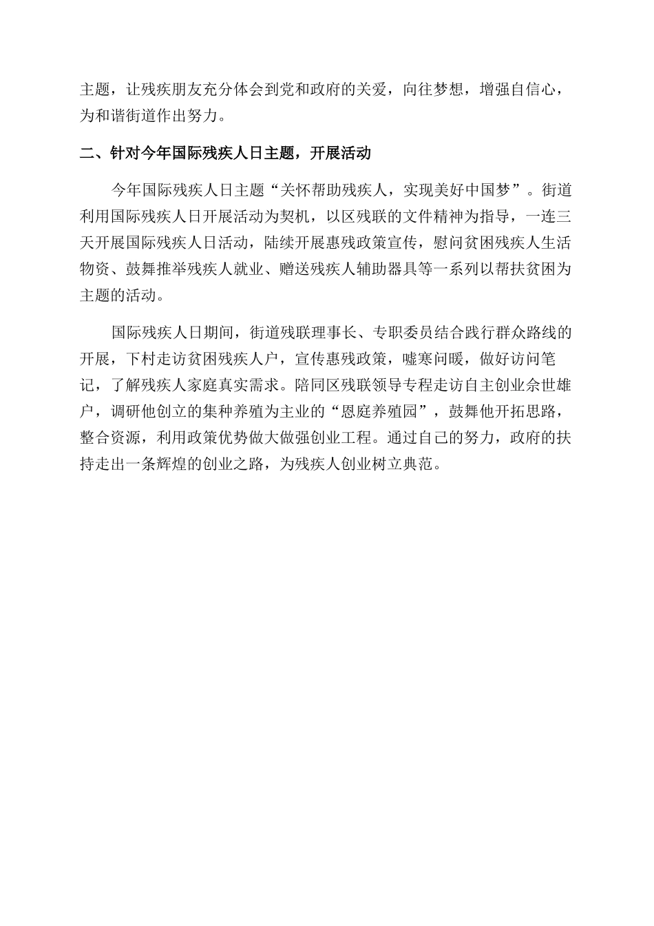123国际残疾人日活动总结范文精选3篇_第3页
